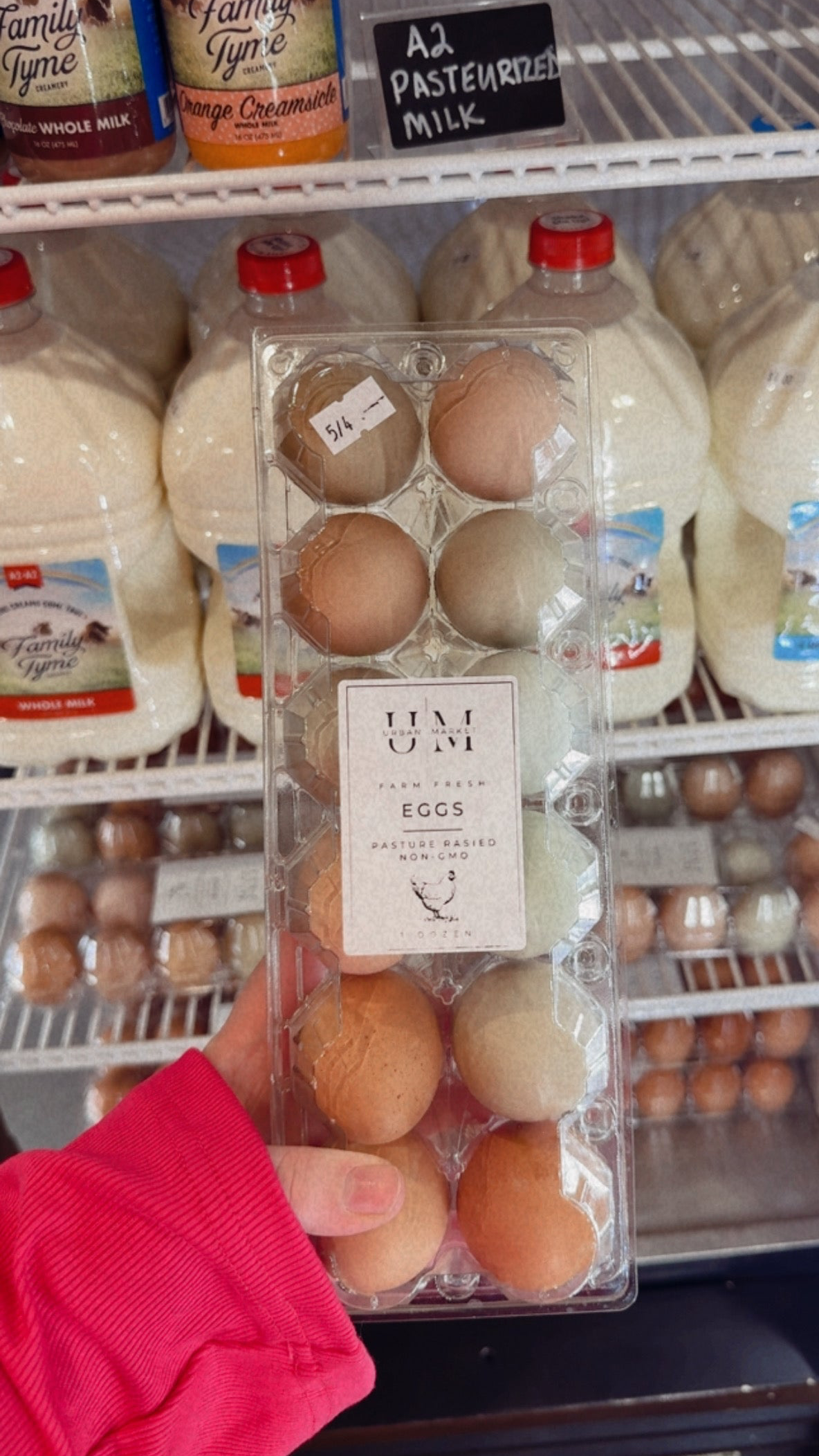 Eggs