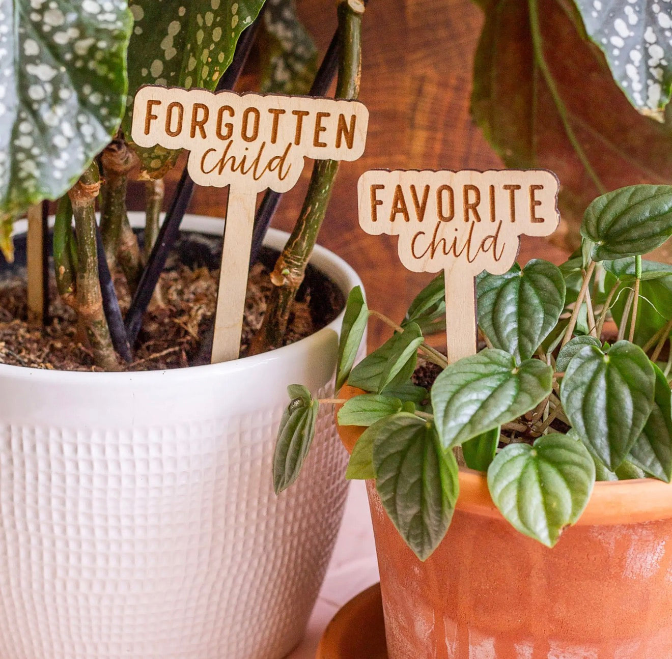 Funny Plant Stakes