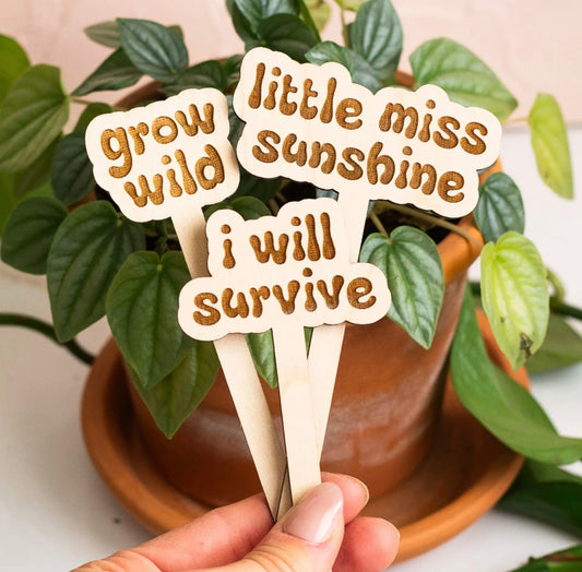 Funny Plant Stakes