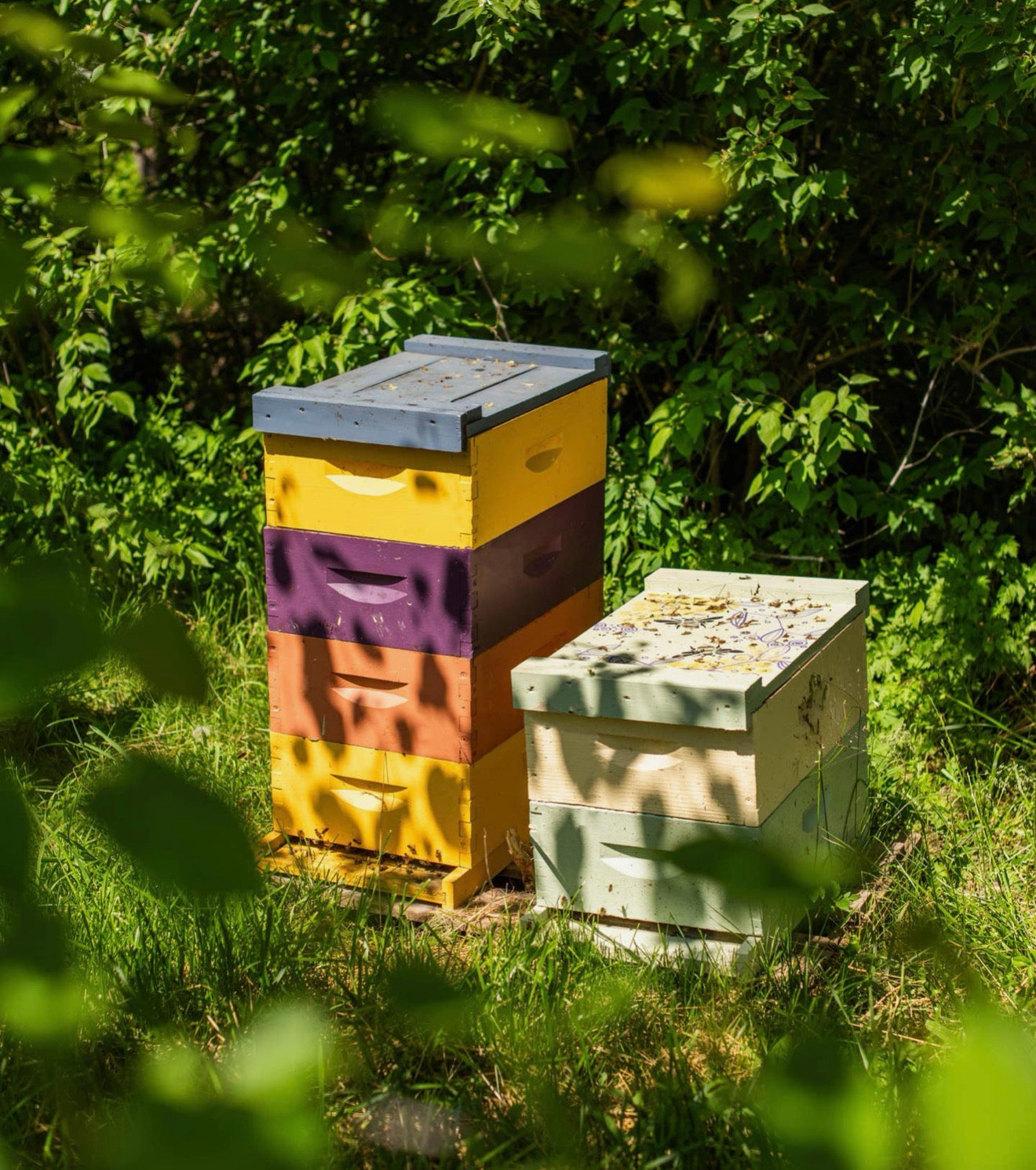 Beeswax lip balm