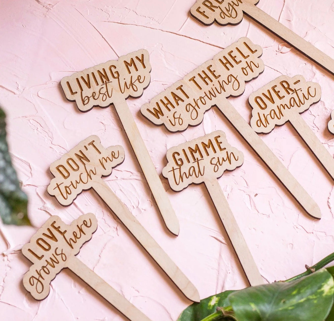 Funny Plant Stakes