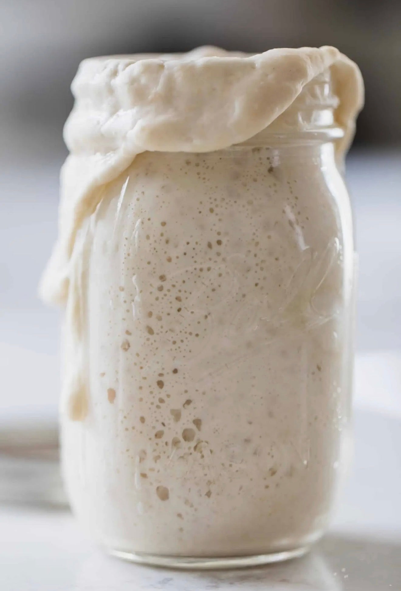 Sourdough Starter