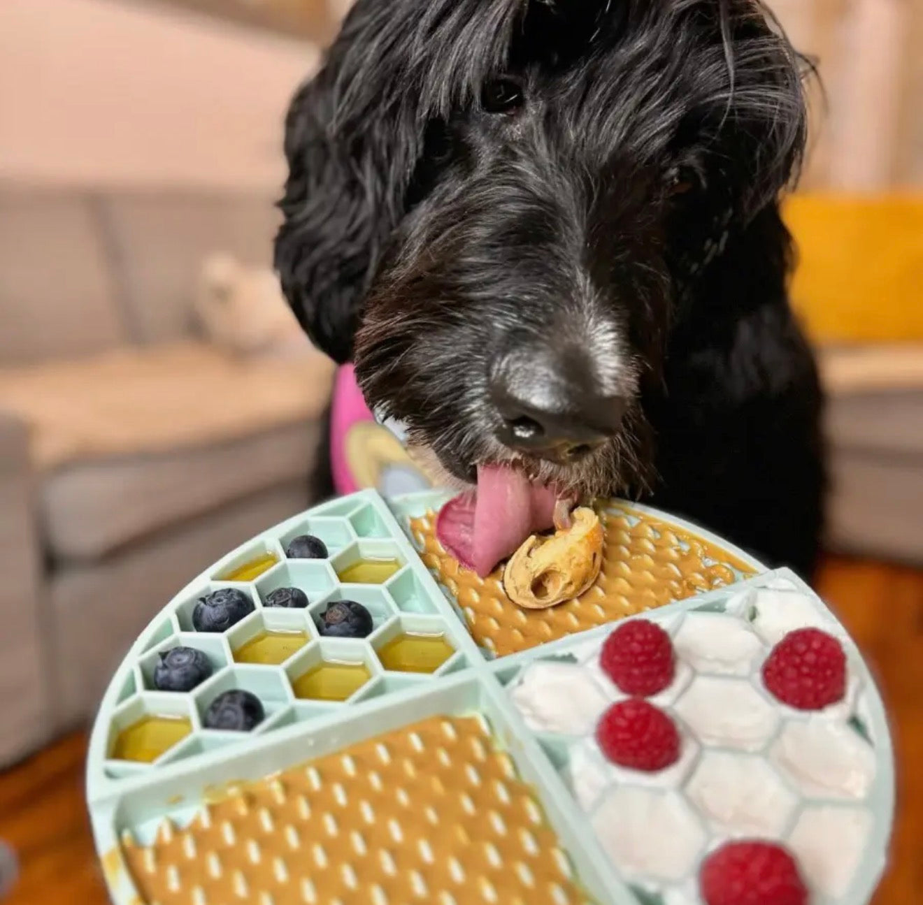 Dog Peanut Butter