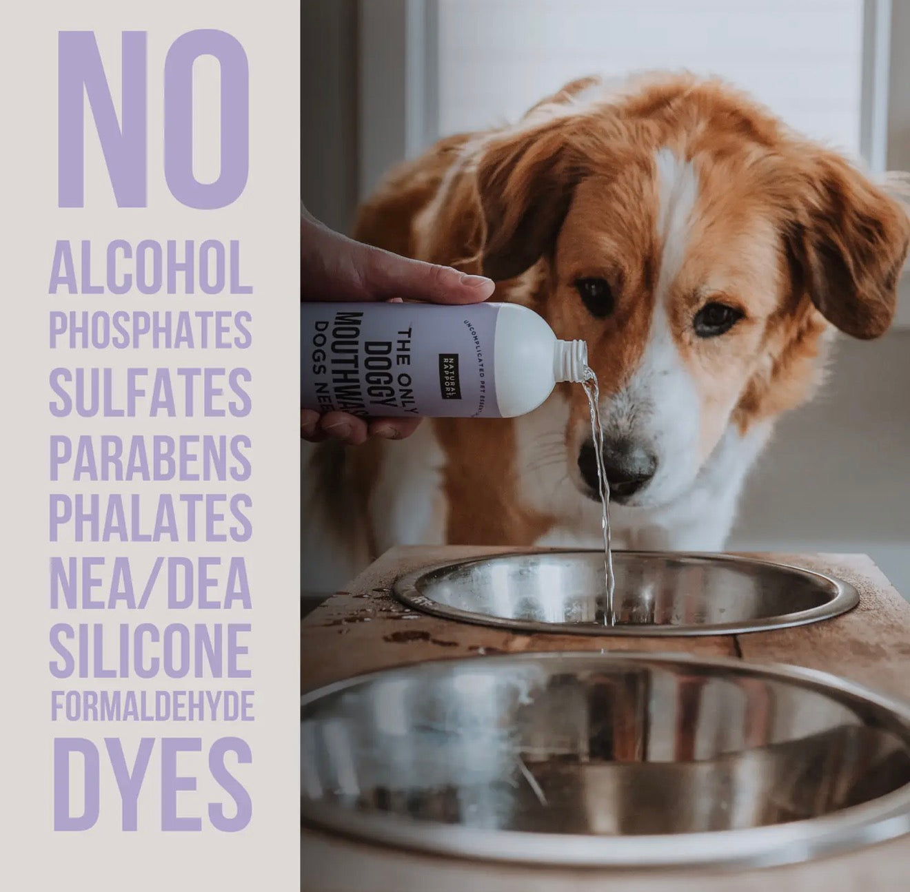 Doggy Mouthwash