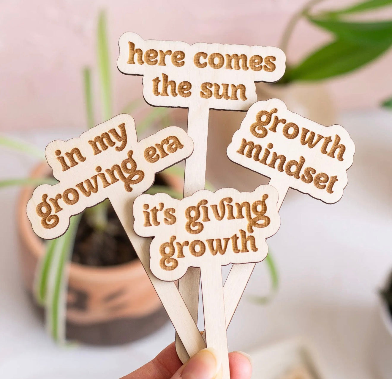 Funny Plant Stakes