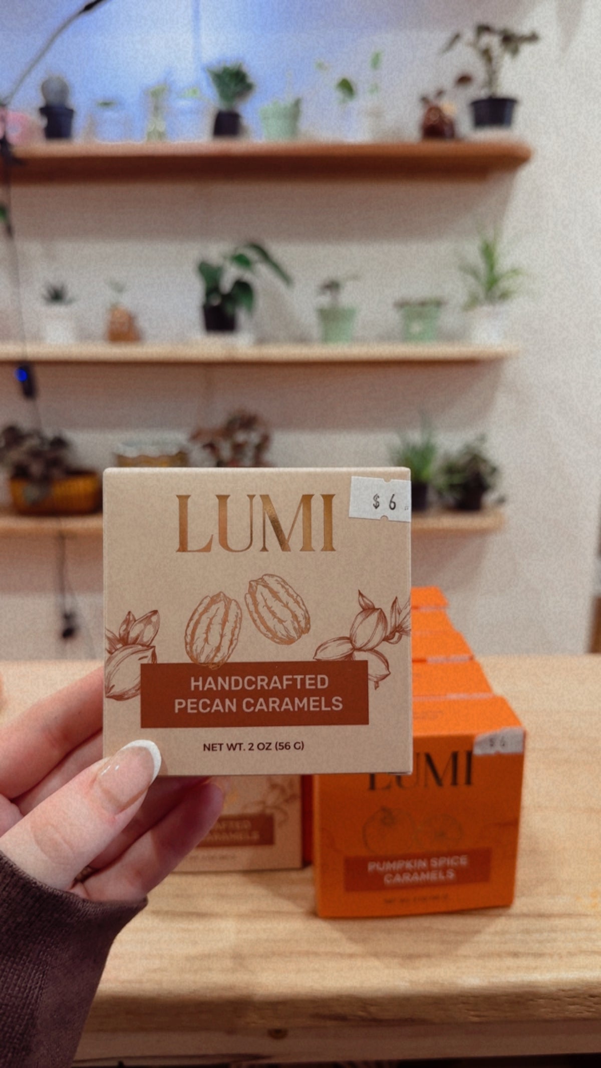 Lumi Fall Caramels