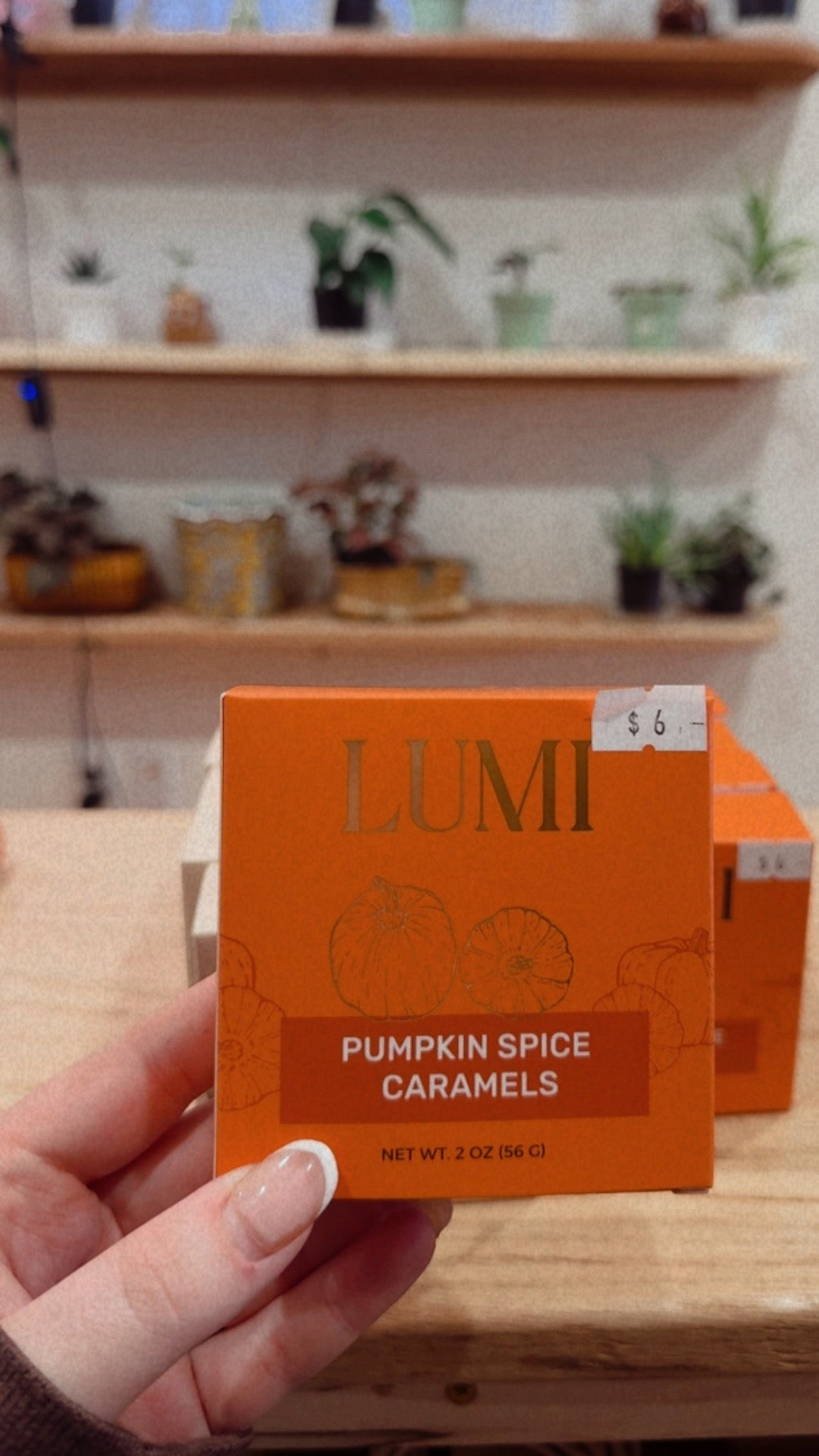 Lumi Fall Caramels