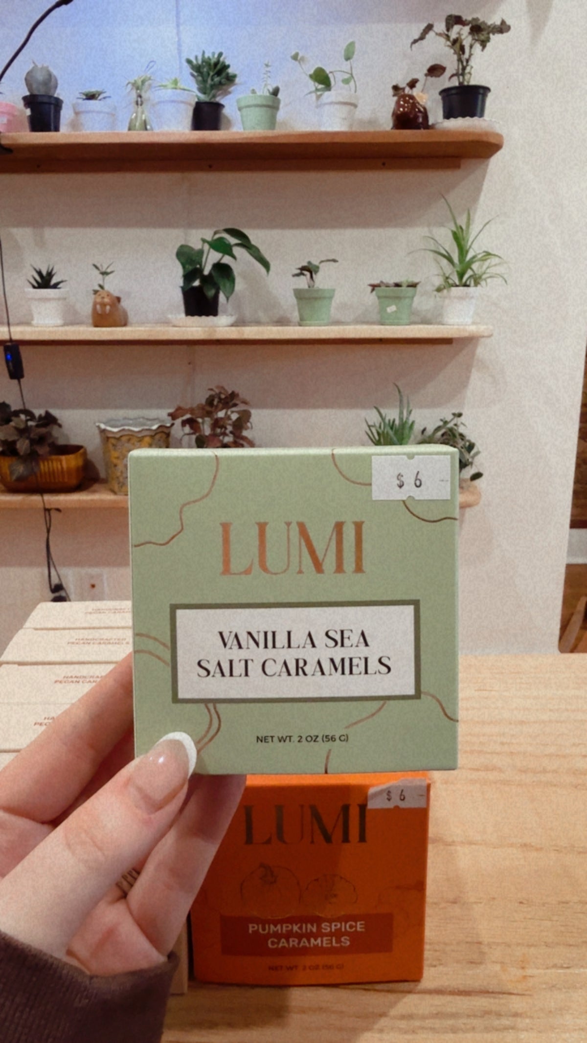 Lumi Fall Caramels