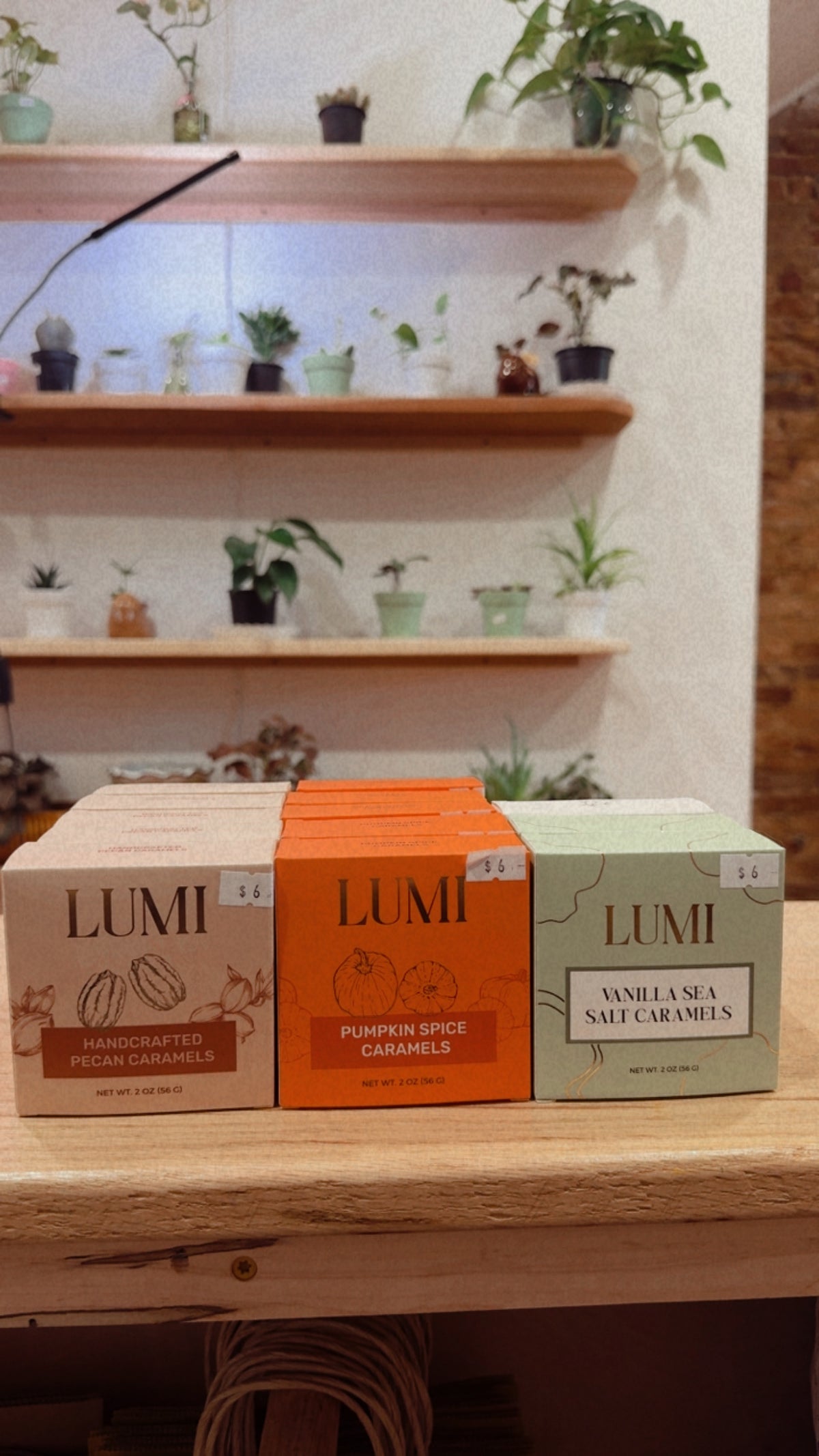 Lumi Fall Caramels
