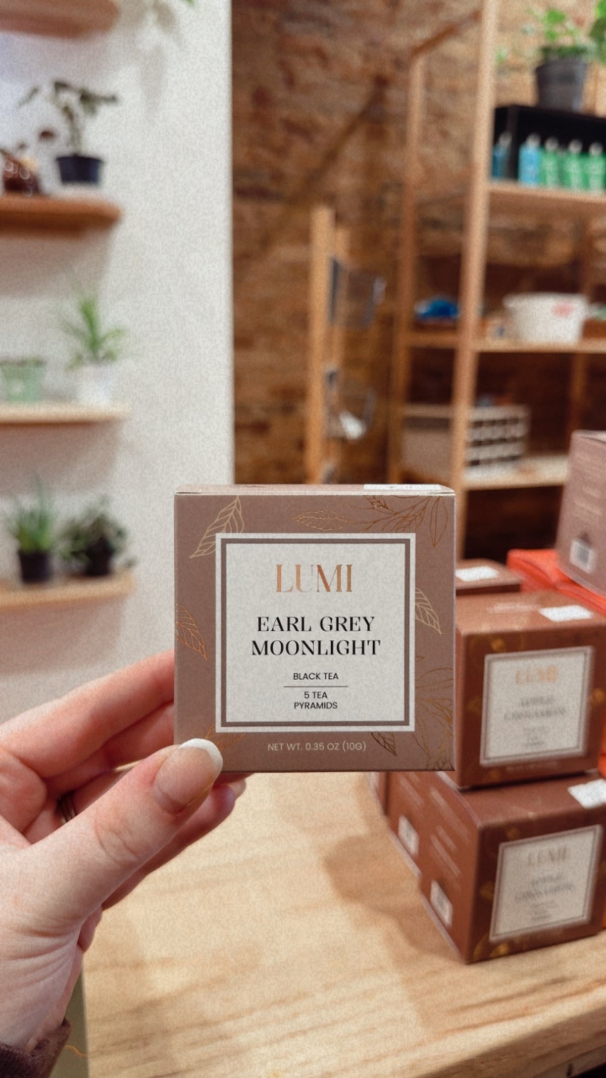 Lumi Fall Tea Bags