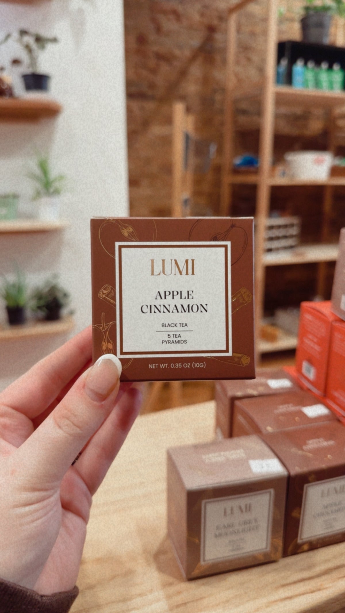 Lumi Fall Tea Bags