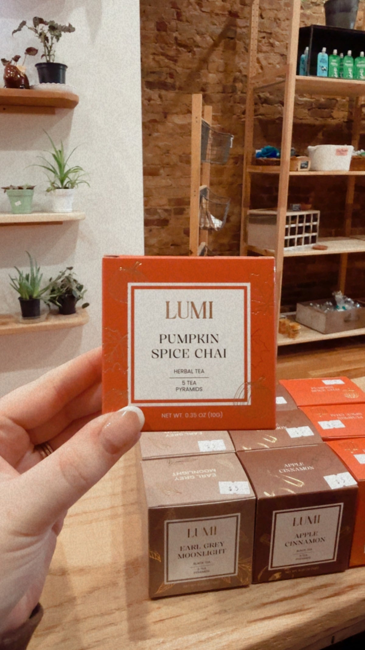 Lumi Fall Tea Bags